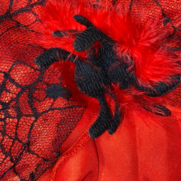 Red Spider Witch Costume for ages 8-10 (size 8-10?) - Picture 6 of 7